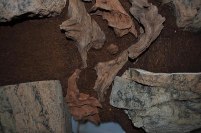 DSC_0874.jpg