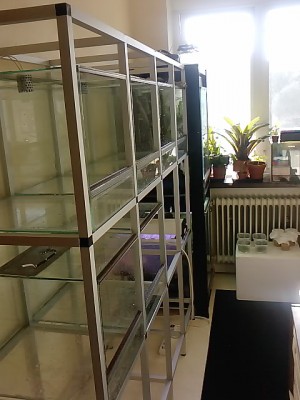 P1834_14-06-11.JPG