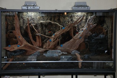 19 mossmixpåxaxim.jpg