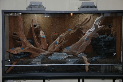 18 lecapåstrand.jpg