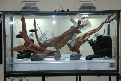 9 lager4 rötter test.jpg