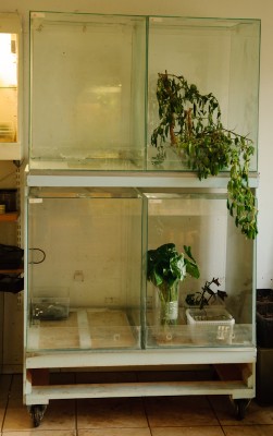 L1143-211.JPG