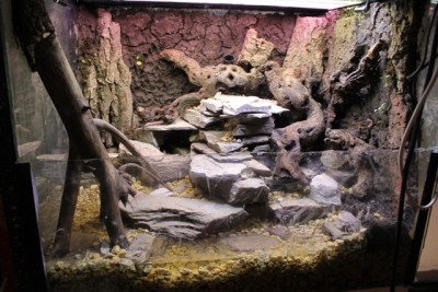 grodorny.jpg (216.88 KiB) Visad 11359 gånger utan bloomor