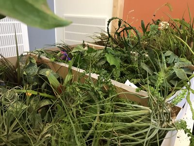 Flowerpowerkulturen är påtaglig i vår hobby!