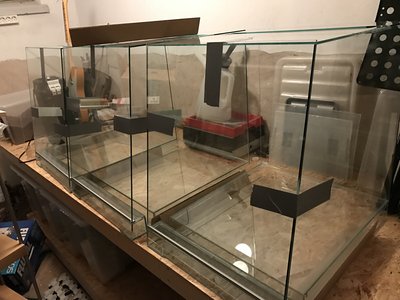 IMG_2266.JPG (1.76 MiB) Visad 8944 gånger Terrariehyllaväntrum