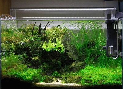 LED-ramp 33W akvariumbild.jpg