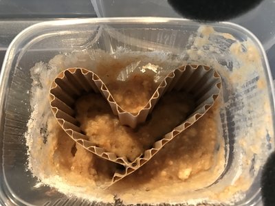 Dendrobatister gör "det" i kärlek ...