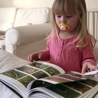 Ellen ❤ pumilio = sant