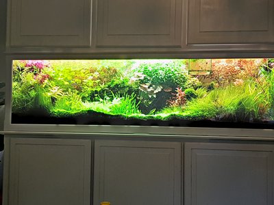 2017-07-16_15-43-29_HDR.jpg