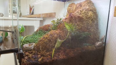 20170924_123136.jpg
