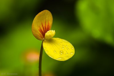 2017-10-15 16-42-41 (B,Radius4,Smoothing3).jpg