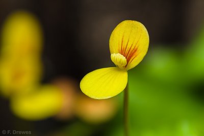 2017-10-15 18-34-41 (B,Radius4,Smoothing3).jpg