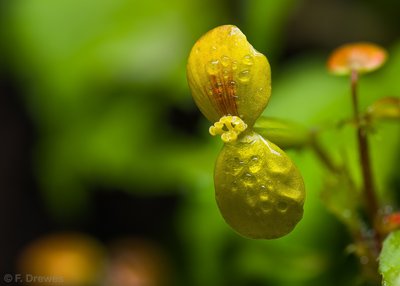 2017-10-15 19-03-04 (B,Radius4,Smoothing3).jpg