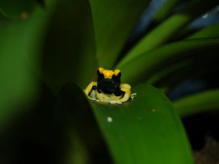 DSC_0208.jpg