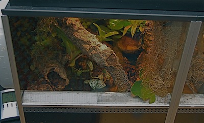 Giljotinlisten är en plastlist för affischer som finns på vart enda varuhus.