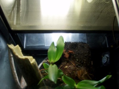 Det blir en himla skillnad på både ljus och luftfuktighet med glas istället för nät.