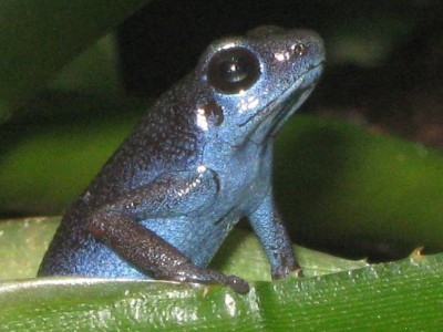 IMG_3900 - Kopia.JPG