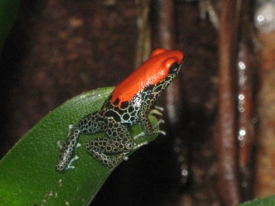 IMG_3846 - Kopia (2).JPG