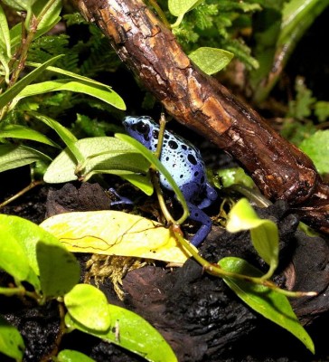 Kopia av PICT0613.JPG