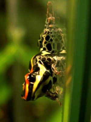 Kopia av PICT1056.JPG