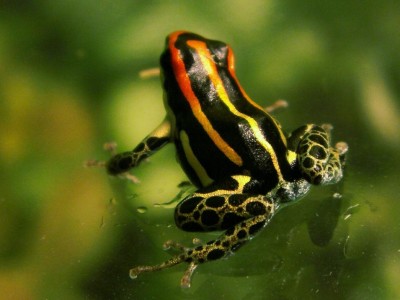 Kopia av PICT1062.JPG