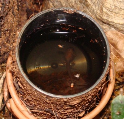 Bild tagen 25.4.2010