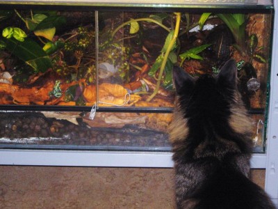 IMG_3991 - Kopia.JPG