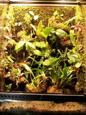 Bilden är tagen 4/5-10