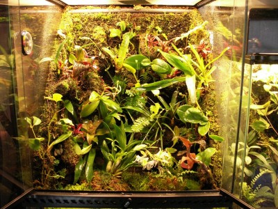 Bilden är tagen 5/6-10