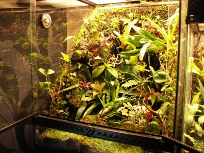 Bilden är tagen 12/6-10