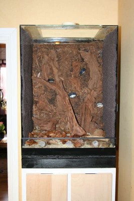 Här är rötterna på plats och allt bottenmaterial är också på plats.<br />Ovanpå lecakulorna ligger ett myggnät och ovanpå det vitmossa. På vitmossan ligger det "Forrest floor" och  torkade eklöv.<br /><br />Nu ser det nästan färdigt ut.....<br />Men det är en del kvar.