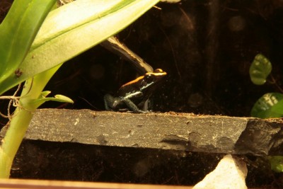 _MG_9481.JPG