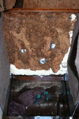 Fogskumsbakgrund med krukor i. Den täcks med silicon och sedan något som hette "forrest floor" såg ut som ofärdig kompost.