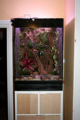 terrariet_klart 012-800.jpg