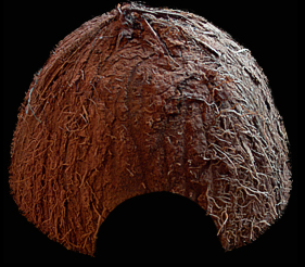 Kokosnötskal för romläggningen.