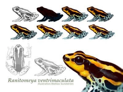 Bildprocess, från skiss till nästan klar