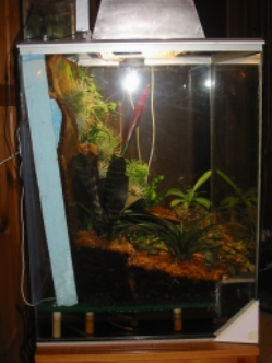 Sidovy med dubbelbotten, substrat och bakvägg