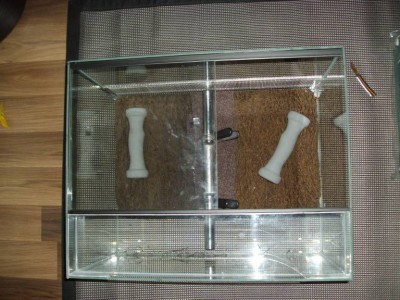 Tyngder på bakgrunden