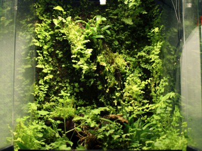 Ingen bild på bygget, men en liten bild på hur fint de börjar bli i lillburken.