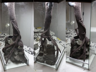 Lite kvar på rötter å lianer.