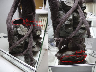 Plats för bromelior och bilder på den dolda luckan