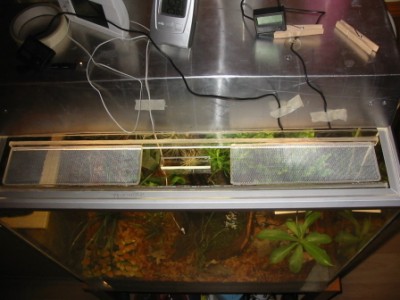 Ventgaller liten.JPG