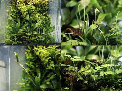 Såhär ser det ut i lillburken nu.