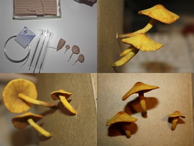 Högst upp till vänster ser ni svamparna innan de bakades i ugnen och innan de är målade. Använde en bit aluminiumtråd som stomme i dem och tänkte att den sedan kan tryckas in i Epiweb eller ett borrathål i en träbit.