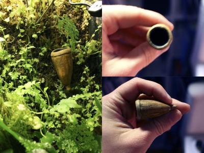 Imitation av Couratari guianensis/Brazil nut. Storleken mini. Testade att placera den i burken och det ser rätt bra ut och naturligt. Flyttade dock ut den efter fotografering då den inte är lackad.