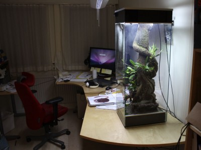 Ha ha ha... burken ser rätt stor ut, luras inte av perspektivet. Men visst den blev lite större än planerat =-)