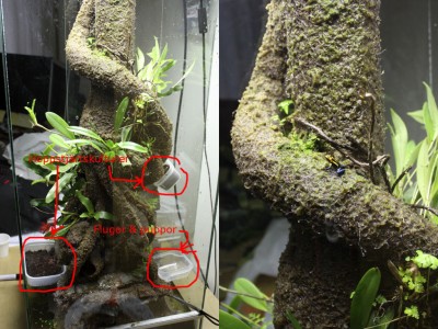 Burkarna med kulturer på plats.