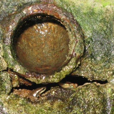 Stör oss inte. Vi bor faktiskt här!