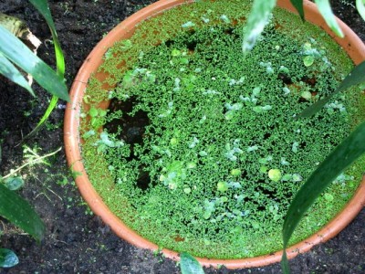 Denna barnkammare verkar fungera!