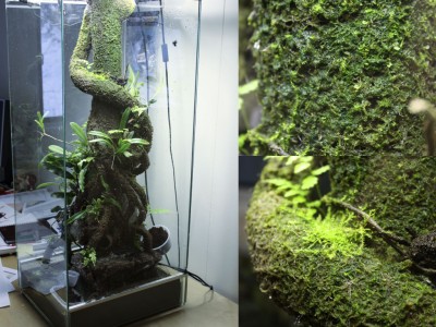 Som burken ser ut idag, börjar ta sig.